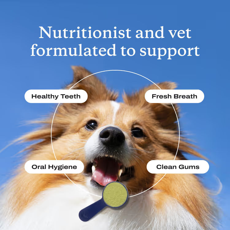 HappyPaw Dental Powder