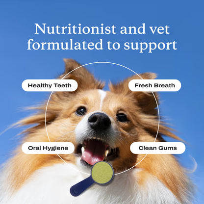 HappyPaw Dental Powder