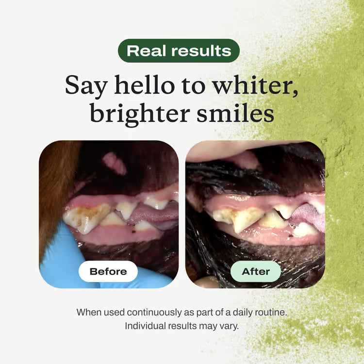 HappyPaw Dental Powder