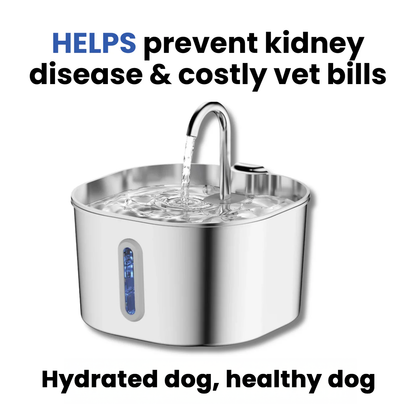 HappyPaw™ Purified Dog Drinking Fountain