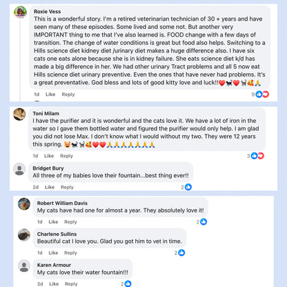 HappyPaw™ Purified Dog Drinking Fountain