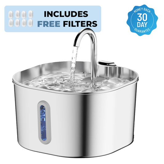 HappyPaw™ Purified Dog Drinking Fountain